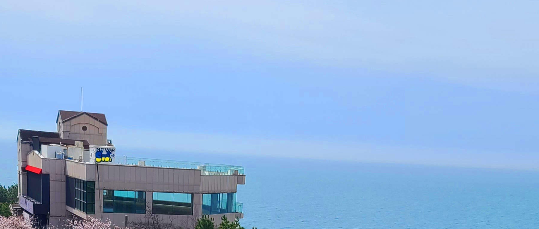 獨自一人也能盡情享受賞櫻樂趣～